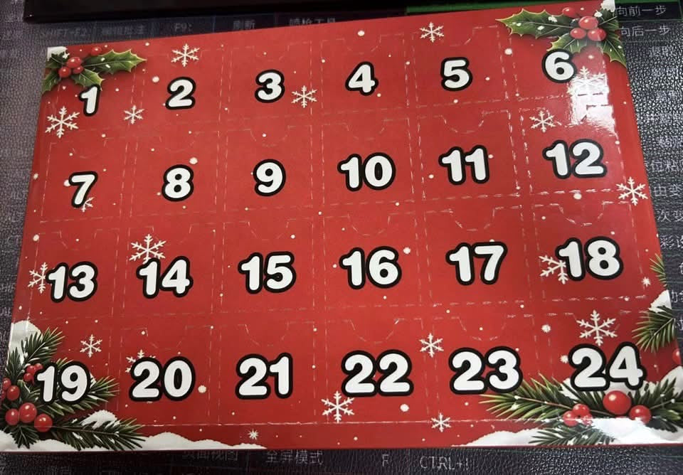 Dumpling Advent Calendar - PREORDER