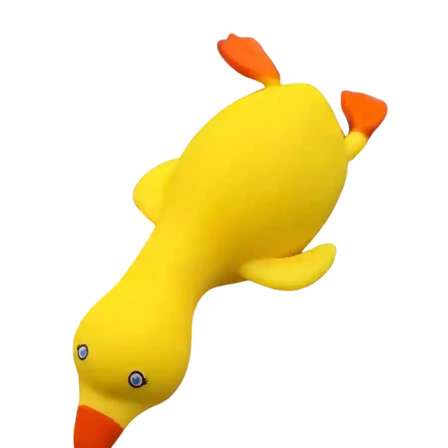 Crunchy Squeeze Duck Squeeze