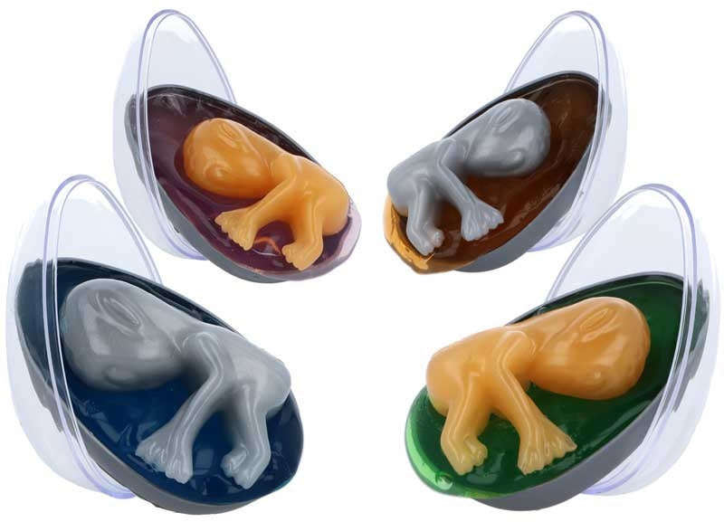 Alien Egg with Baby